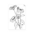 Picture of Daisy Drawing _GroupedProduct_Rectangle_Portrait_Unframed_Print_Only_