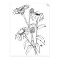 Picture of Daisy Drawing _GroupedProduct_Rectangle_Portrait_Unframed_Print_Only_
