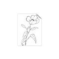 Picture of Poppy Drawing _GroupedProduct_Rectangle_Portrait_Unframed_Print_Only_