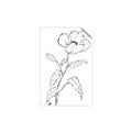 Picture of Poppy Drawing _GroupedProduct_Rectangle_Portrait_Unframed_Print_Only_