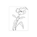Picture of Poppy Drawing _GroupedProduct_Rectangle_Portrait_Unframed_Print_Only_
