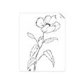 Picture of Poppy Drawing _GroupedProduct_Rectangle_Portrait_Unframed_Print_Only_