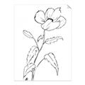 Picture of Poppy Drawing _GroupedProduct_Rectangle_Portrait_Unframed_Print_Only_