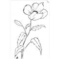 Picture of Poppy Drawing _GroupedProduct_Rectangle_Portrait_Unframed_Print_Only_