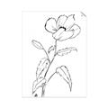 Picture of Poppy Drawing _GroupedProduct_Rectangle_Portrait_Unframed_Print_Only_