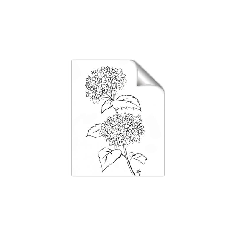 Picture of French Hydrangea Drawing _GroupedProduct_Rectangle_Portrait_Unframed_Print_Only_