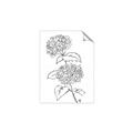 Picture of French Hydrangea Drawing _GroupedProduct_Rectangle_Portrait_Unframed_Print_Only_