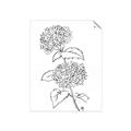 Picture of French Hydrangea Drawing _GroupedProduct_Rectangle_Portrait_Unframed_Print_Only_