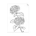 Picture of French Hydrangea Drawing _GroupedProduct_Rectangle_Portrait_Unframed_Print_Only_