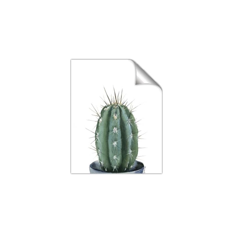 Picture of Cactus     _GroupedProduct_Rectangle_Portrait_Unframed_Print_Only_
