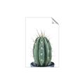 Picture of Cactus     _GroupedProduct_Rectangle_Portrait_Unframed_Print_Only_