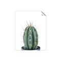 Picture of Cactus     _GroupedProduct_Rectangle_Portrait_Unframed_Print_Only_