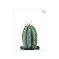 Picture of Cactus     _GroupedProduct_Rectangle_Portrait_Unframed_Print_Only_