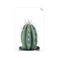 Picture of Cactus     _GroupedProduct_Rectangle_Portrait_Unframed_Print_Only_