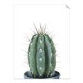 Picture of Cactus     _GroupedProduct_Rectangle_Portrait_Unframed_Print_Only_