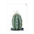 Picture of Cactus     _GroupedProduct_Rectangle_Portrait_Unframed_Print_Only_