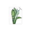 Picture of Snake Leaves _GroupedProduct_Rectangle_Portrait_Unframed_Print_Only_