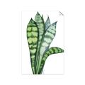 Picture of Snake Leaves _GroupedProduct_Rectangle_Portrait_Unframed_Print_Only_