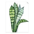 Picture of Snake Leaves _GroupedProduct_Rectangle_Portrait_Unframed_Print_Only_