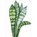 Picture of Snake Leaves _GroupedProduct_Rectangle_Portrait_Unframed_Print_Only_