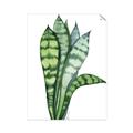 Picture of Snake Leaves _GroupedProduct_Rectangle_Portrait_Unframed_Print_Only_