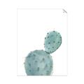 Picture of Bunny Cactus _GroupedProduct_Rectangle_Portrait_Unframed_Print_Only_