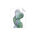 Picture of Prickly Pear Cactus  _GroupedProduct_Rectangle_Portrait_Unframed_Print_Only_