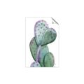 Picture of Prickly Pear Cactus  _GroupedProduct_Rectangle_Portrait_Unframed_Print_Only_