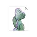 Picture of Prickly Pear Cactus  _GroupedProduct_Rectangle_Portrait_Unframed_Print_Only_