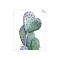 Picture of Prickly Pear Cactus  _GroupedProduct_Rectangle_Portrait_Unframed_Print_Only_
