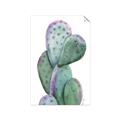 Picture of Prickly Pear Cactus  _GroupedProduct_Rectangle_Portrait_Unframed_Print_Only_