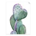 Picture of Prickly Pear Cactus  _GroupedProduct_Rectangle_Portrait_Unframed_Print_Only_