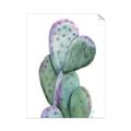 Picture of Prickly Pear Cactus  _GroupedProduct_Rectangle_Portrait_Unframed_Print_Only_