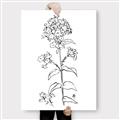 Picture of Single Hydrangea Drawing _GroupedProduct_Rectangle_Portrait_Canvas_
