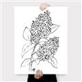 Picture of Panicle Hydrangea Drawing _GroupedProduct_Rectangle_Portrait_Canvas_