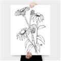 Picture of Daisy Drawing _GroupedProduct_Rectangle_Portrait_Canvas_