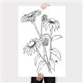 Picture of Daisy Drawing _GroupedProduct_Rectangle_Portrait_Canvas_