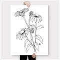 Picture of Daisy Drawing _GroupedProduct_Rectangle_Portrait_Canvas_