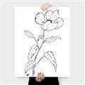 Picture of Poppy Drawing _GroupedProduct_Rectangle_Portrait_Canvas_