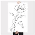 Picture of Poppy Drawing _GroupedProduct_Rectangle_Portrait_Canvas_