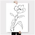 Picture of Poppy Drawing _GroupedProduct_Rectangle_Portrait_Canvas_