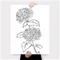 Picture of French Hydrangea Drawing _GroupedProduct_Rectangle_Portrait_Canvas_