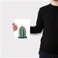 Picture of Cactus     _GroupedProduct_Rectangle_Portrait_Canvas_