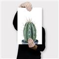 Picture of Cactus     _GroupedProduct_Rectangle_Portrait_Canvas_