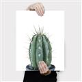 Picture of Cactus     _GroupedProduct_Rectangle_Portrait_Canvas_