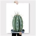 Picture of Cactus     _GroupedProduct_Rectangle_Portrait_Canvas_
