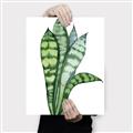 Picture of Snake Leaves _GroupedProduct_Rectangle_Portrait_Canvas_