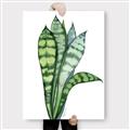 Picture of Snake Leaves _GroupedProduct_Rectangle_Portrait_Canvas_