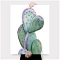 Picture of Prickly Pear Cactus  _GroupedProduct_Rectangle_Portrait_Canvas_