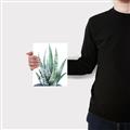 Picture of Zebra Succulent  _GroupedProduct_Rectangle_Portrait_Canvas_